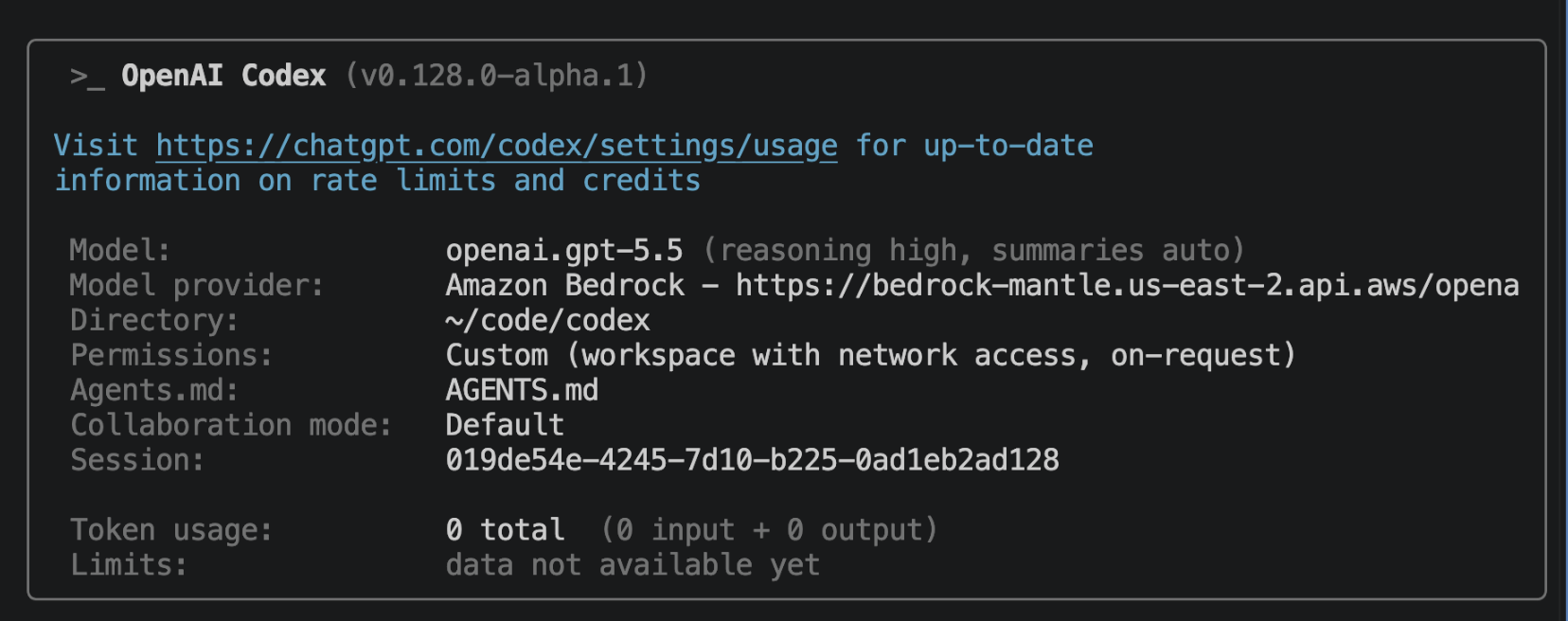 Codex CLI에서 Amazon Bedrock provider와 OpenAI 모델을 설정한 공식 화면